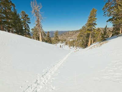 Footprints leading through the snow between Dry Lake and the north face chutes san gorgonio wilderness
