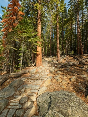 A cobblestone section of trail en route to Half Dome half dome trail