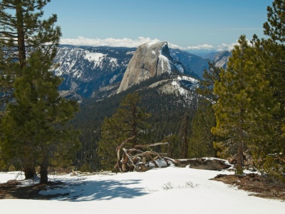 A nicely framed view of Half Dome half dome