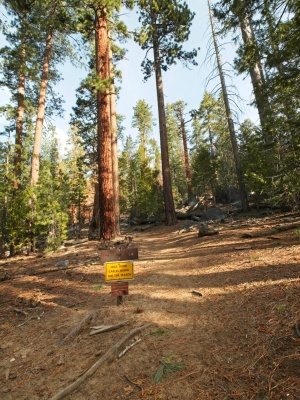 A refreshingly dry trail up to Half Dome half dome trail