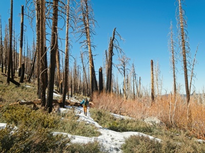 Craig hikes through the Lake Fire (2020) scar on the lower slopes of San Gorgonio san gorgonio lake fire