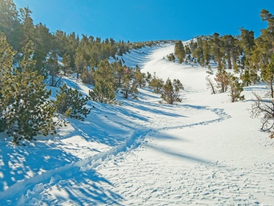 The boot track winds up the slope into the chute san gorgonio north face chute