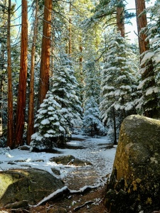 A winter wonderland on the trail john muir trail