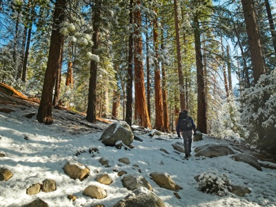 A beautiful morning on the John Muir Trail john muir trail
