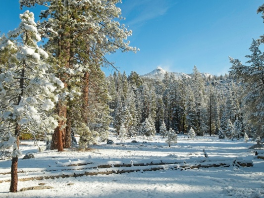 Warm sun lighting up the landscape in Little Yosemite Valley yosemite the pinnacles