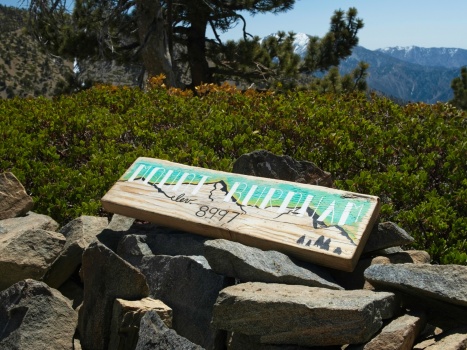 Mount Burnham also features a nice sign! mount burnham