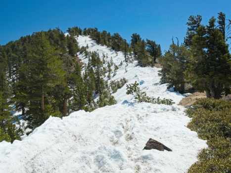 A hefty amount of snow on the north side of the ridge mount baden-powell