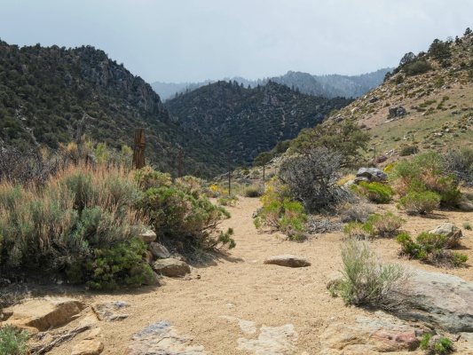 It's not all sunshine though - clouds shroud the higher elevations overcast sierra nevada
