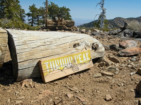A nicely-painted Throop Peak summit sign throop peak