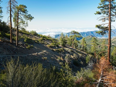 Higher up the trail I get a nice view of the clouds over Los Angeles windy gap trail