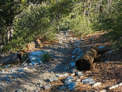 The Windy Gap Trail winds through the woods in the Crystal Lake campground area windy gap trail