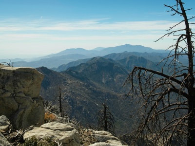 The 2018 Cranston fire left very little vegetation alive tahquitz peak burn scar