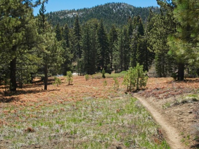 Looking back at the trail through Tahquitz Valley tahquitz valley