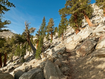 A series of switchbacks lead to Cottonwood Pass cottonwood pass trail