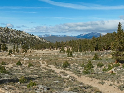 A side trail to Big Whitney Meadow splits off the PCT at Cottonwood Pass golden trout wilderness