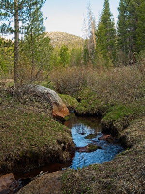 I step over this small creek a couple miles up the trail cottonwood pass creek