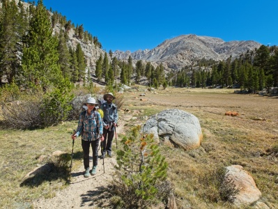 Another beautiful meadow! sierra nevada mountains