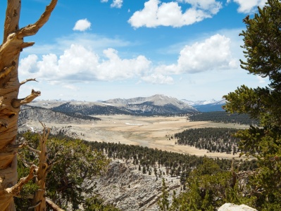 I can't resist snapping this photo of the Siberian Outpost again (same spot as last week) siberian outpost