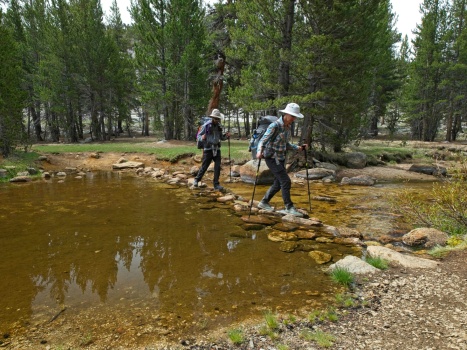 A precarious crossing of Whitney Creek at Lower Crabtree Meadow pacific crest trail