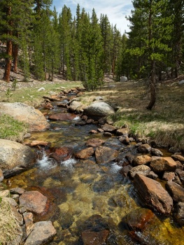 The trail follows this picturesque creek sierra nevada mountains