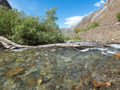 It looks like the bridge has been down for a few seasons mcgee pass trail