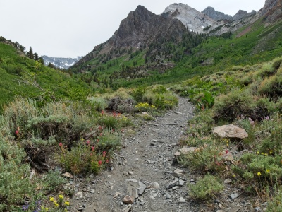 Overcast skies and fierce winds make for a chilly afternoon mcgee pass trail