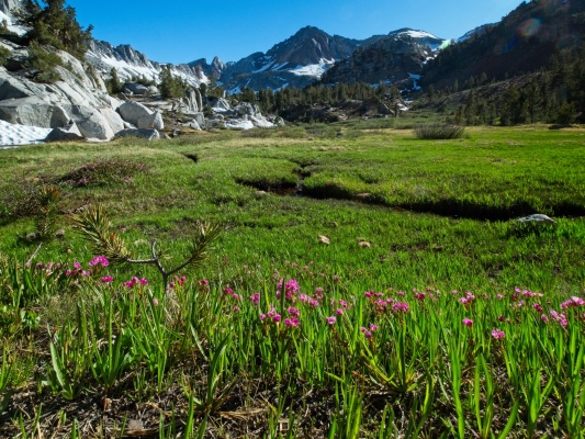 By the time I reach the meadows below Red and White Mountain, the clouds have cleared! mcgee pass trail