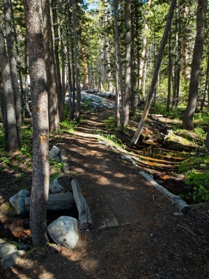A tranquil spot in the forest mcgee pass trail