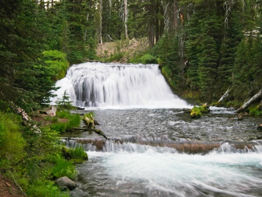 One of several waterfalls along Fall Creek fall creek
