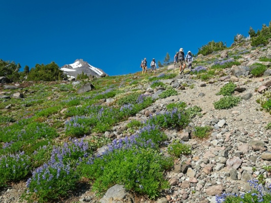 Craig, Dagmar, Andrew, and Linda descending from Mount Jefferson mount jefferson