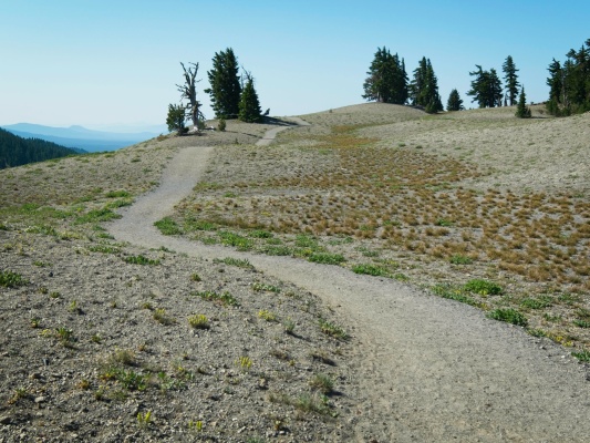 The winding path reminds me of an English country lane south sister
