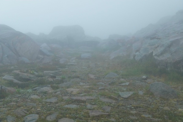 Visibility decreases until I can only see twenty or thirty feet gloom