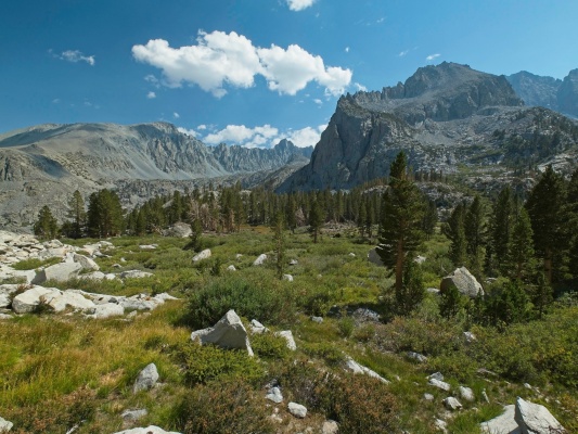A lovely meadow below Norman Clyde Peak meadow
