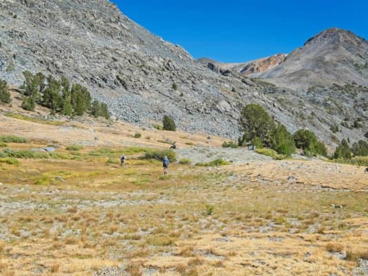 Strolling through this alpine meadow is a pleasure virginia pass meadow