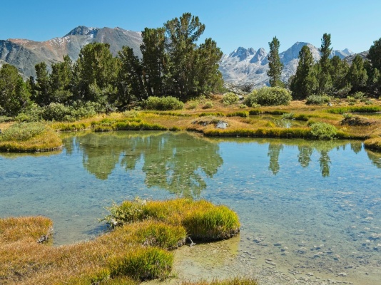I can't get over how beautiful it is up here! alpine pond