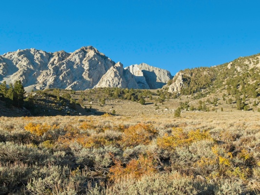 Some autumn colors in the brush; we're headed for the top of the ridge on the right mount humphreys