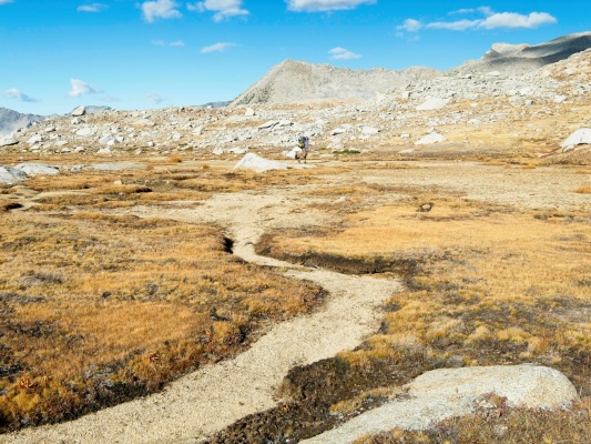 Alex crosses a dry meadow on the way back to Bishop Pass dusy basin