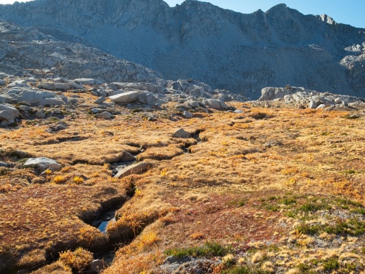 I'm still not over how colorful the plants are! dusy basin