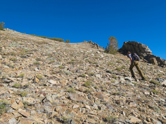 After reaching the top of the grass, we turn right and walk through sage brush eagle peak