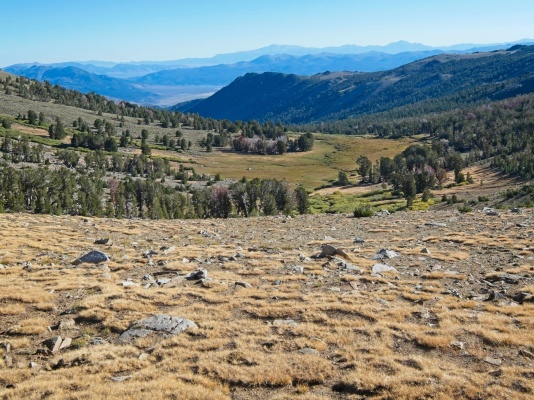 Looking back at a meadow from the foot of Eagle Peak eagle peak