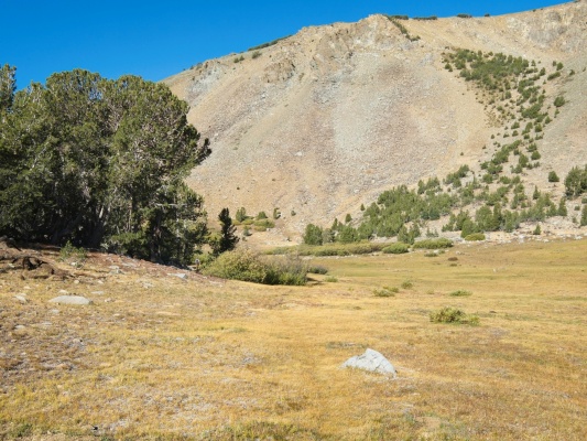 A very faint trail winds along the edge of the meadow eagle peak meadow