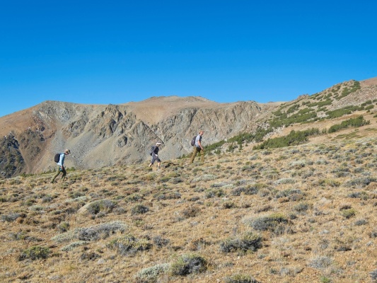 After an initially steep climb, the slope levels out a bit eagle peak slope