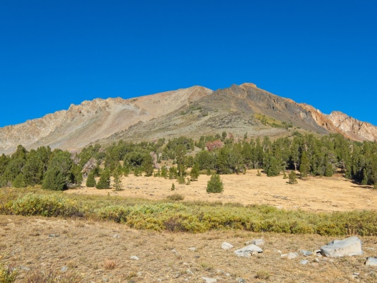 We get a good look at Eagle Peak from across a meadow as we hike toward the south ridge eagle peak