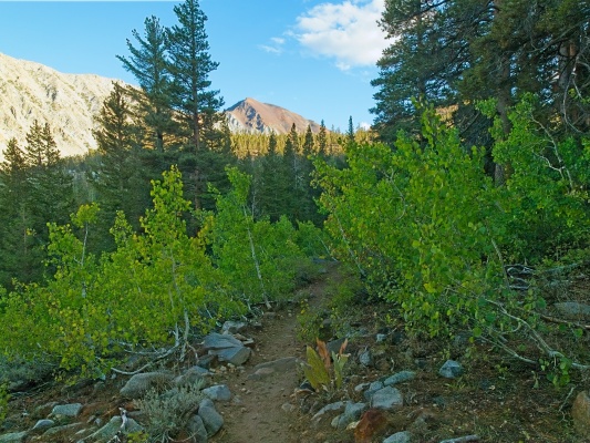 The late afternoon sun illuminates the peaks, but the trail is cool and shadowed green lake trail