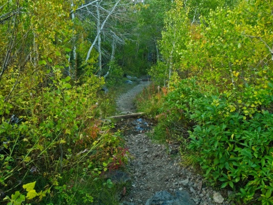 Some autumn colors along the trail green lake trail