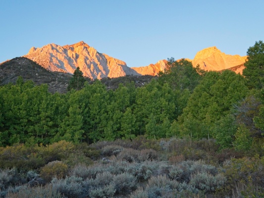 Morning alpenglow on Mount Humphreys mount humphreys