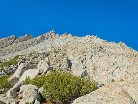 Our view of the east ridge from the saddle mount humphreys