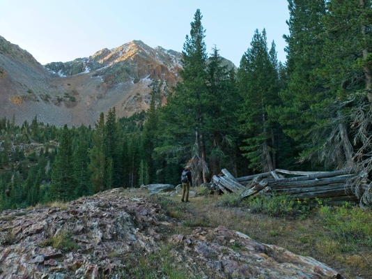 A dilapidated cabin beside the unmaintained trail to Virginia Pass mining cabin