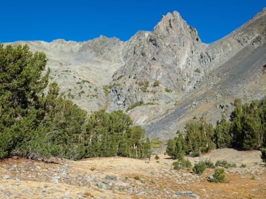 A look at Twin Peaks from the meadows below. Our route follows the grassy chute in the center of the image up to the saddle in the ridge twin peaks