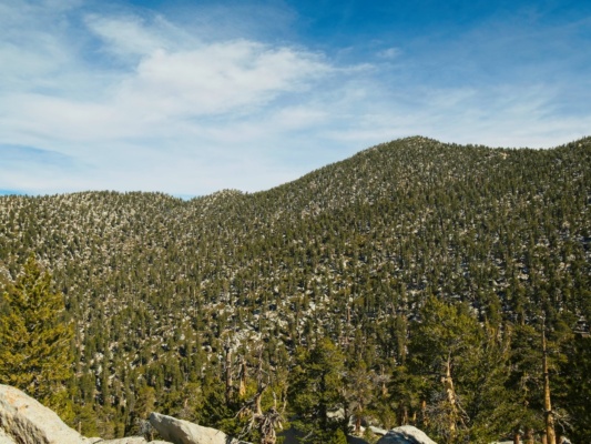 The northwest ridge of San Jacinto Peak; Foll Peak is the leftmost bump san jacinto mountains
